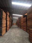 新貨到，雙發(fā)到新貨有紅玫瑰，黃玫瑰，紅花梨，紅紅火火，歡迎訂貨