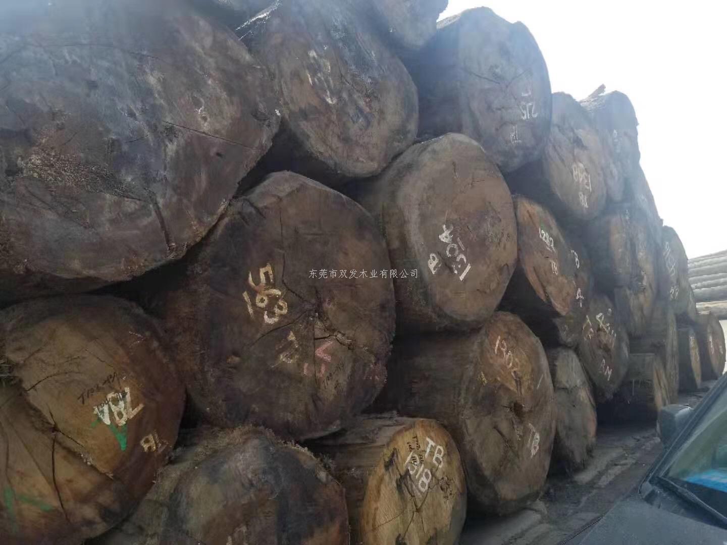 迎7月家具展，雙發(fā)木業(yè)原木加工進(jìn)行中。。